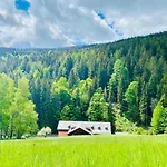 Hotel Petski 3*