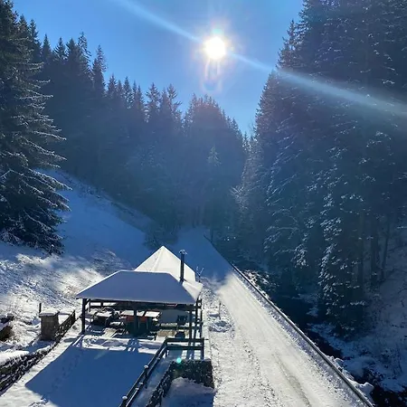 Petski Готель