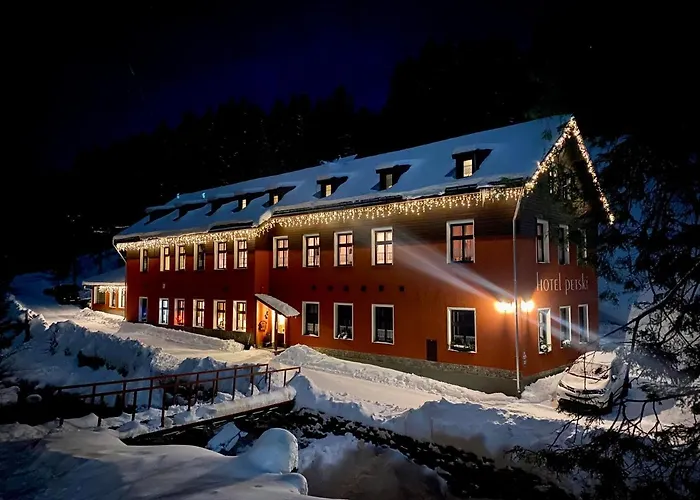 Petski Отель 3*